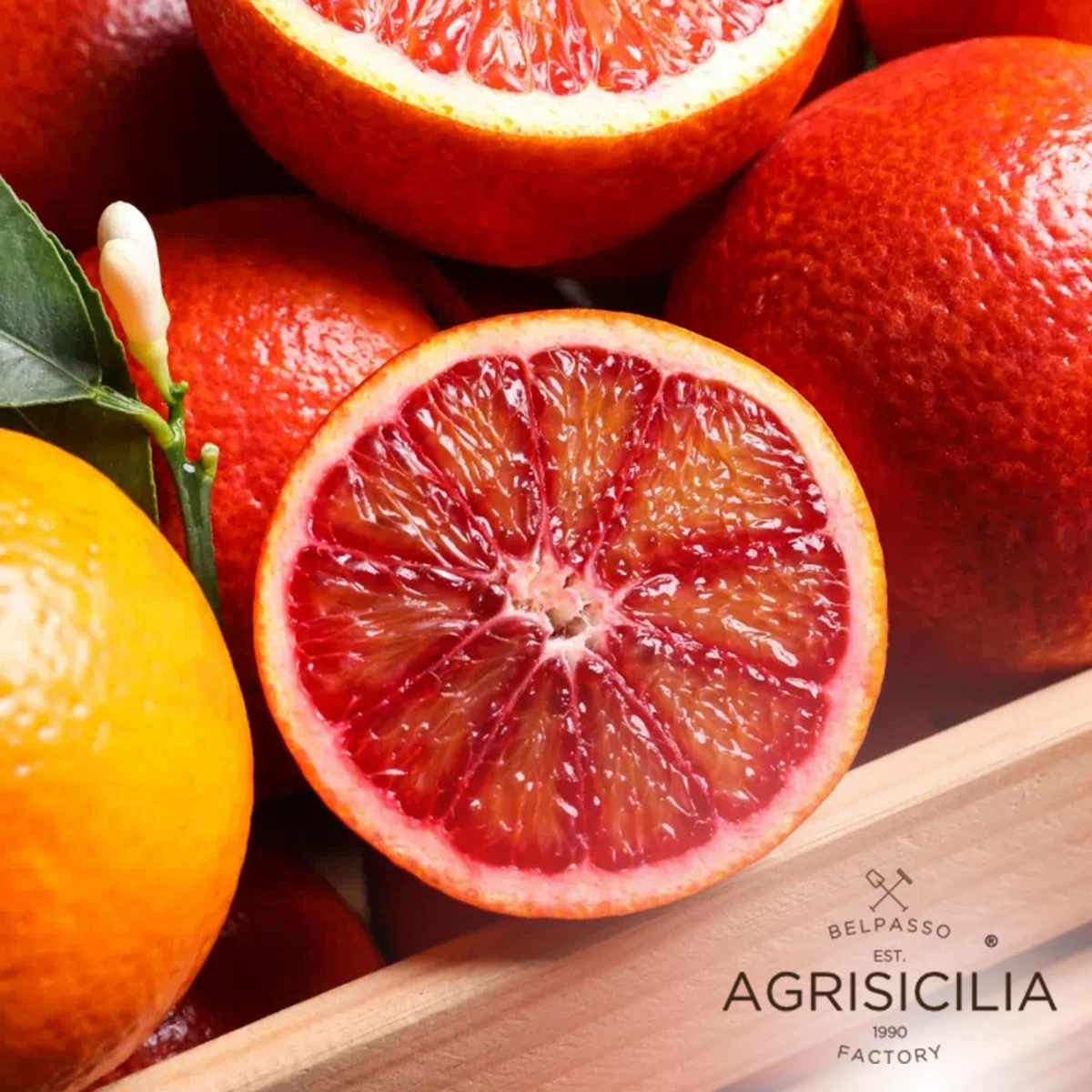 De bästa citrusfrukterna i marmelad från Delikatesskungen